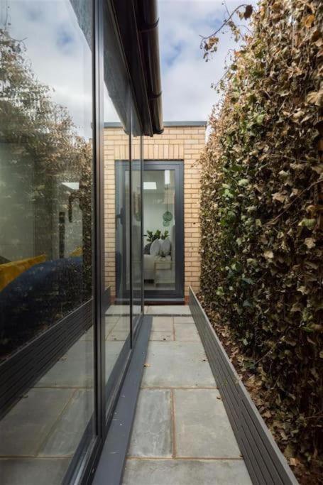 Cozy Leyton House With Garden And Small Terrace London Eksteriør bilde